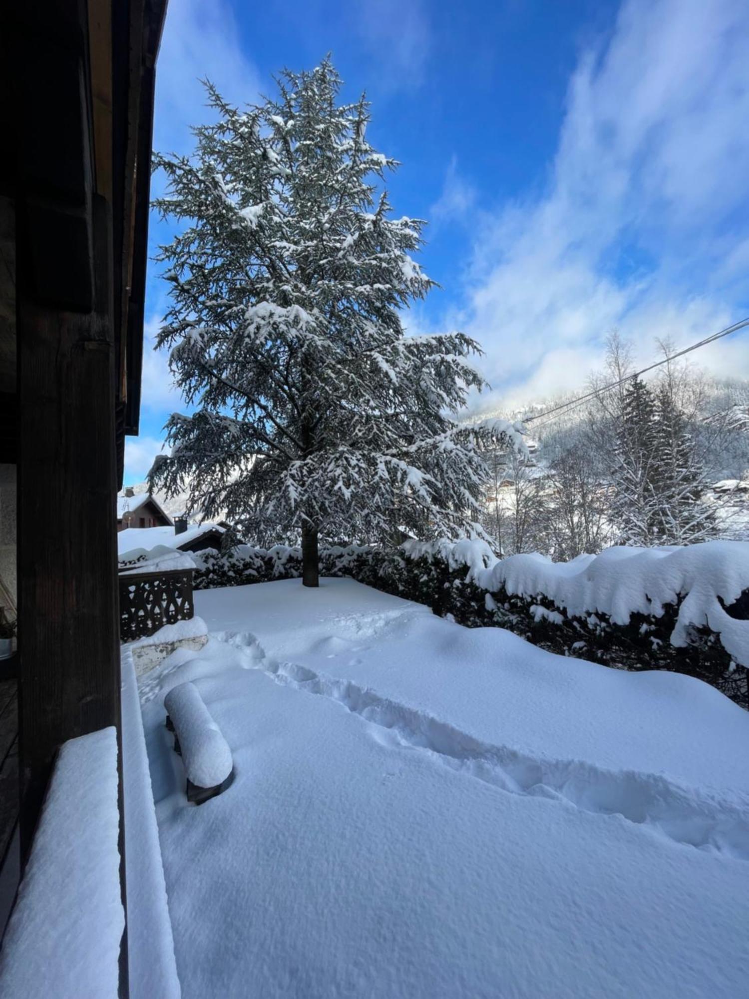 Yuki * Morzine